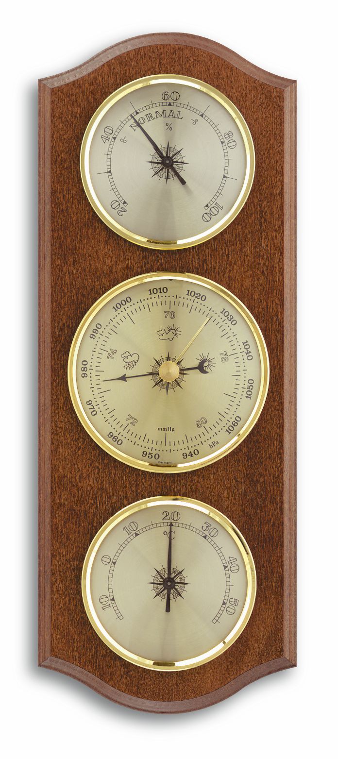 10x Garten Thermometer Buchenholz - Analog Mit Celsius & Fahrenheit