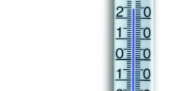 146008.jpg