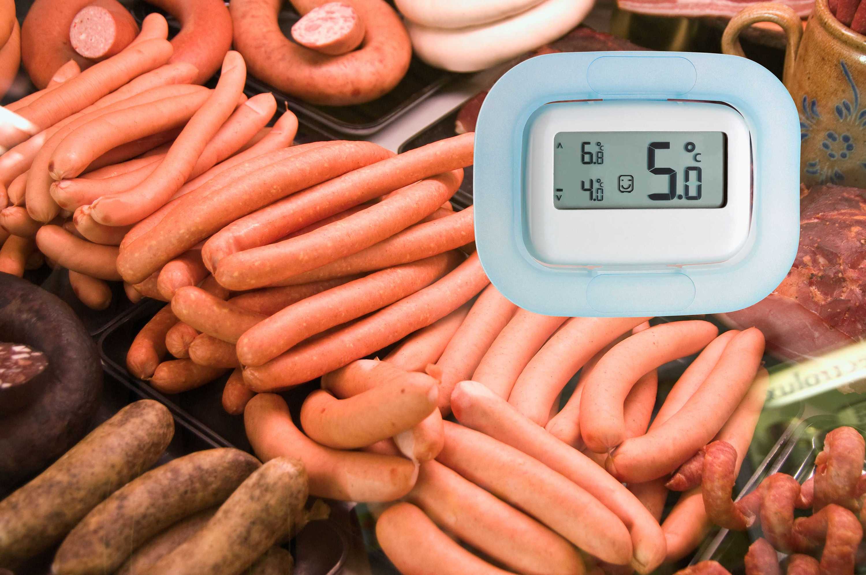 Digitales KühlGefrierschrankThermometer TFA Dostmann