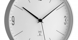 981096.jpg