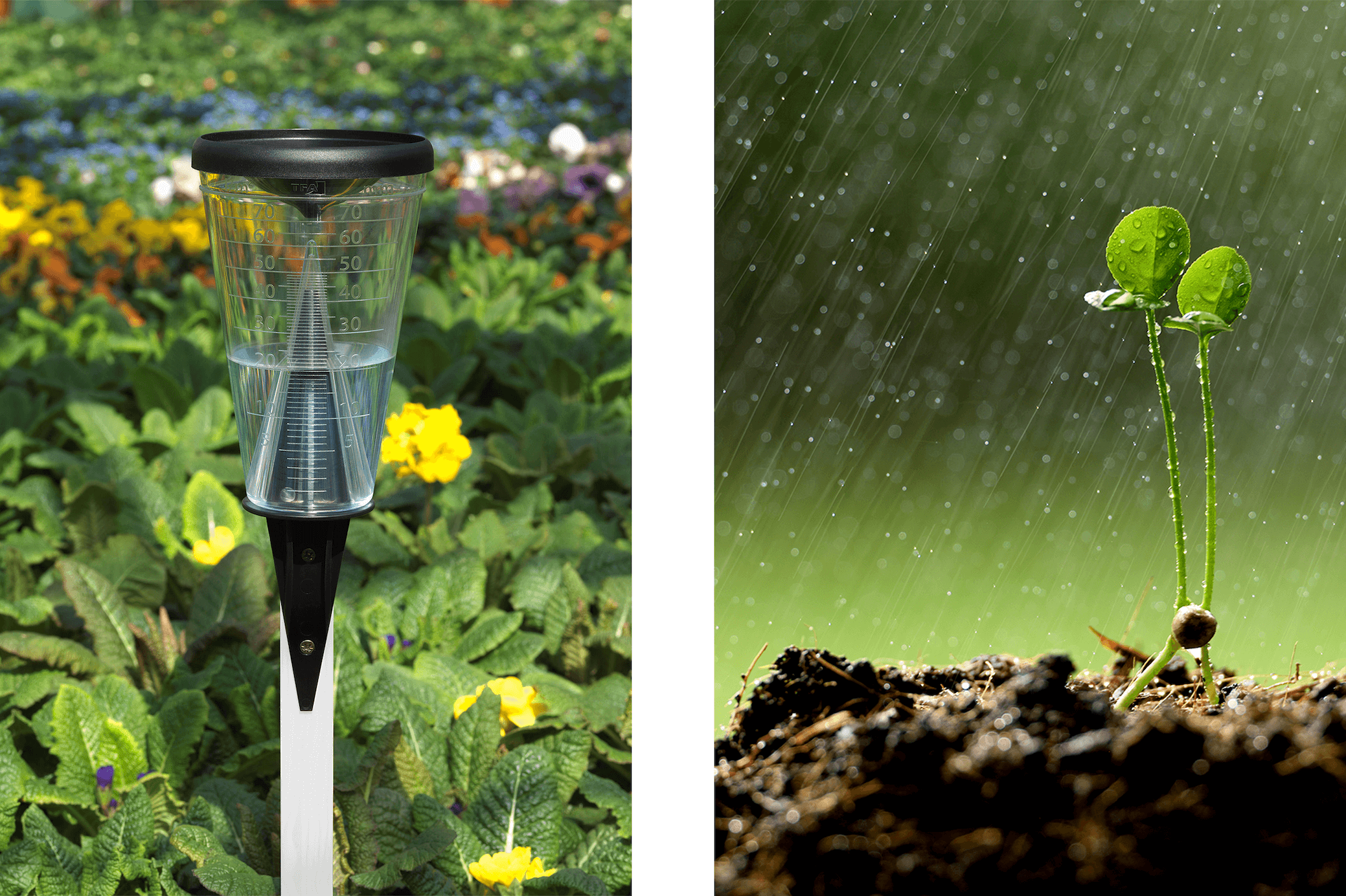 Niederschlag: Gemessen mit einem Regenmesser.