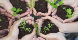 Eine Gruppe von Menschen, halten Erde mit einem jungen Baumpflanzen in den Händen. TFA spendet 250 Bäume für die Initiative Plant for the planet und geht einen weiteren Schritt in Richtung Nachhaltigkeit. Mehr dazu erfahren Sie im TFA magazin