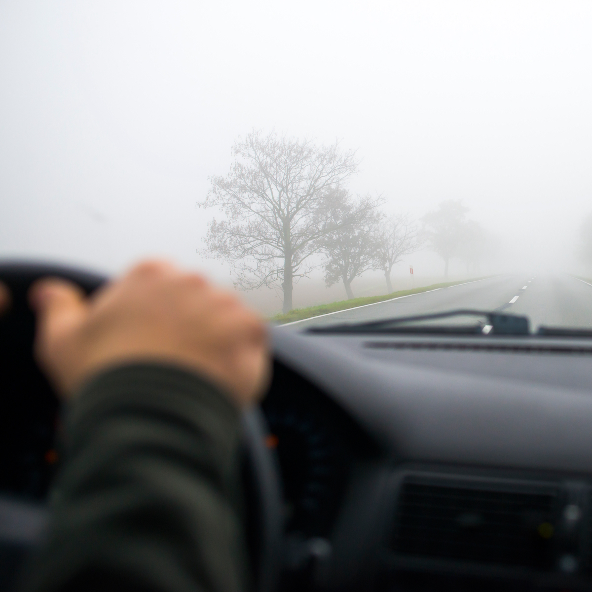 Nebel verursachen Gefahren im Verkehr.