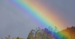 Regenbogen