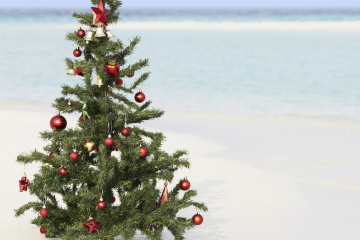 Weihnachten ist oft warm